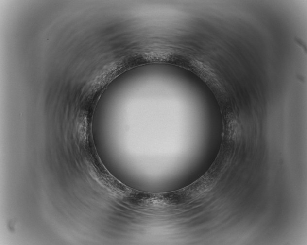 X0000102270498200808011430