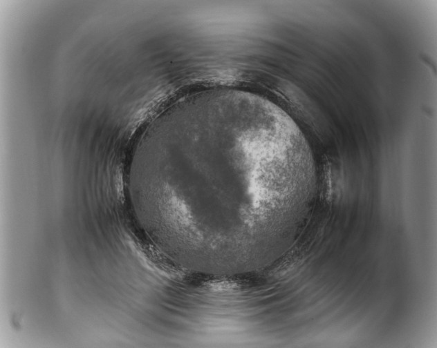 X0000102270500200808011430