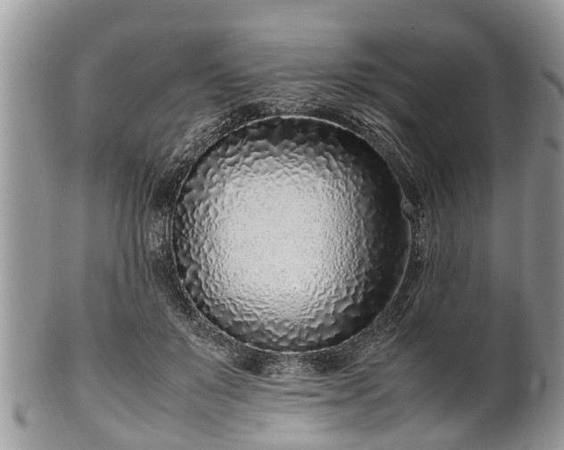 X0000102270503200808011430
