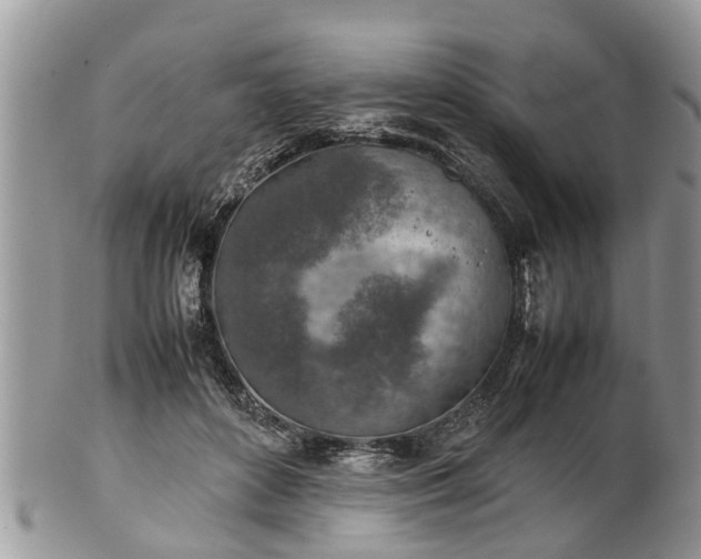 X0000102270504200808011430