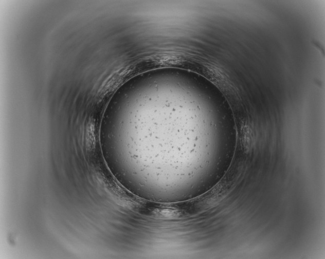 X0000102270506200808011430
