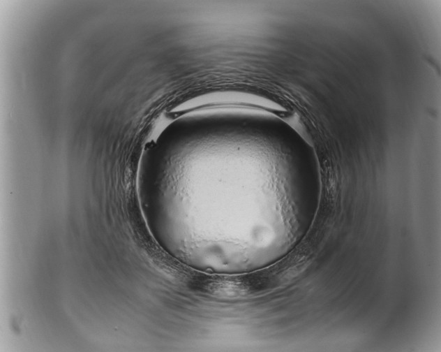 X0000102270507200808011430
