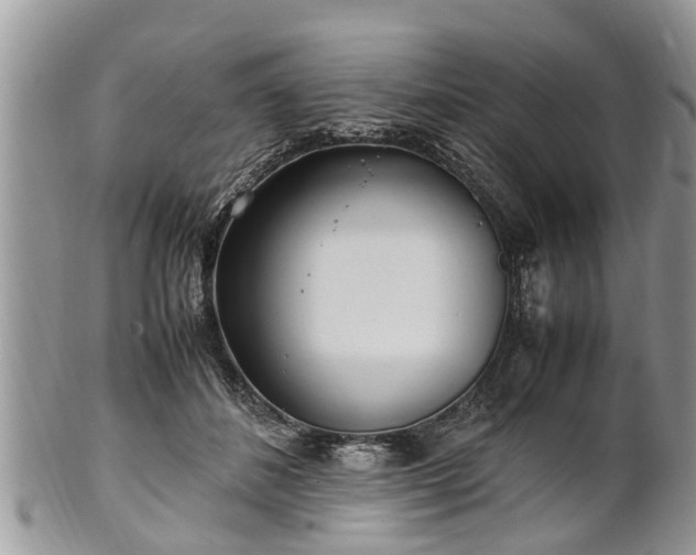 X0000102270508200808011430