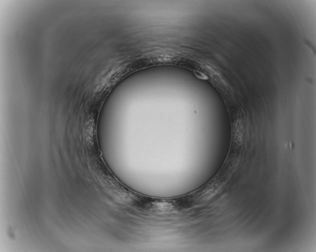 X0000102270509200808011430