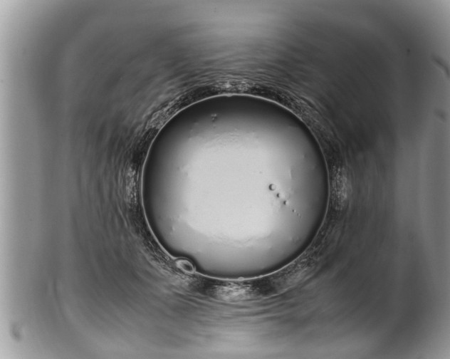 X0000102270511200808011430
