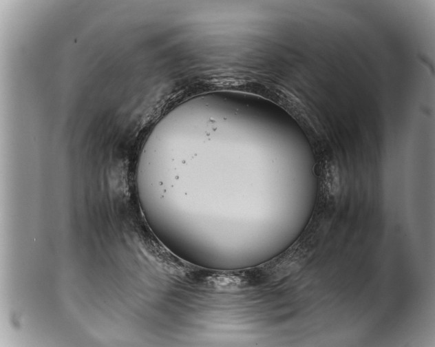 X0000102270512200808011430