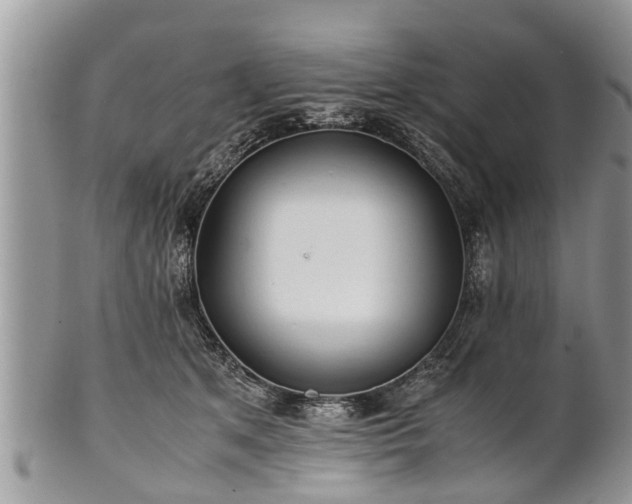 X0000102270513200808011430