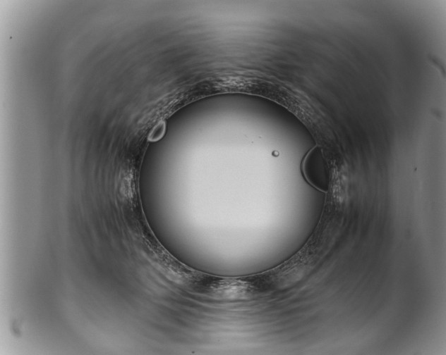 X0000102270514200808011430