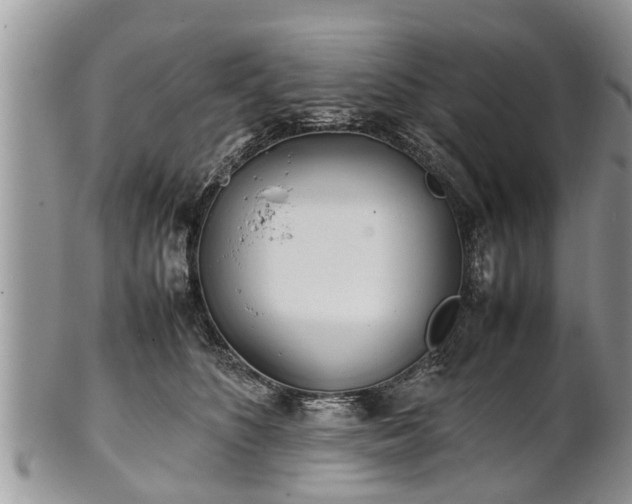 X0000102270516200808011430