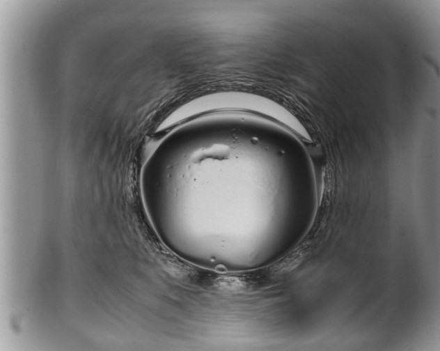 X0000102270519200808011430