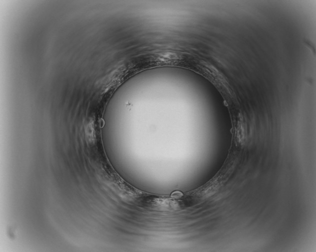 X0000102270520200808011430