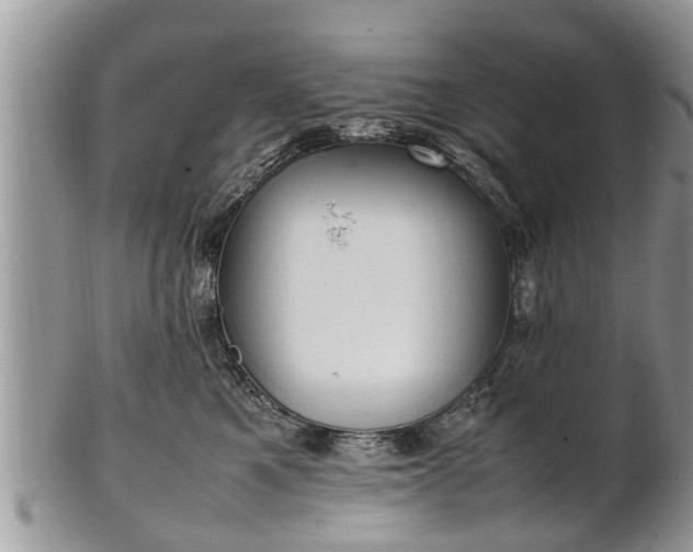 X0000102270521200808011430