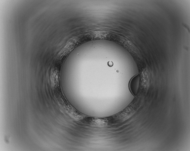 X0000102270522200808011430