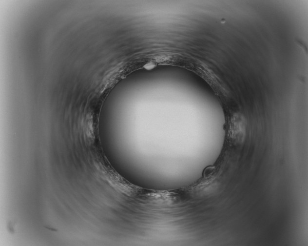 X0000102270524200808011430