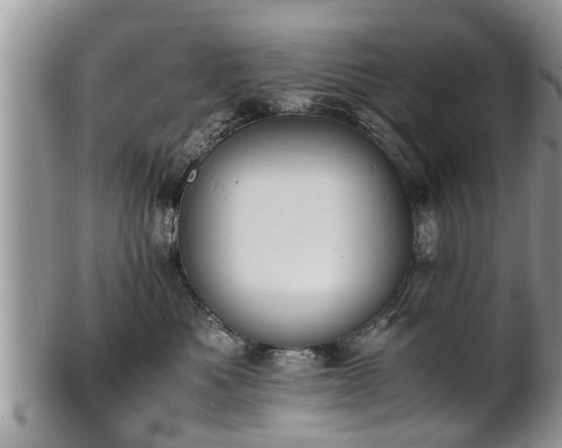 X0000102270525200808011430