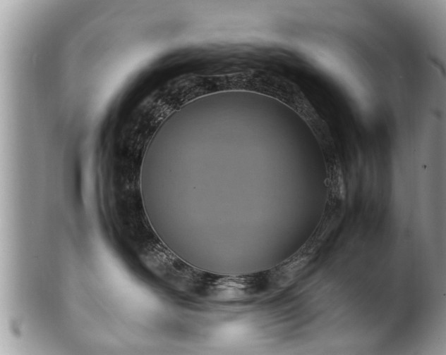 X0000102270526200808011430