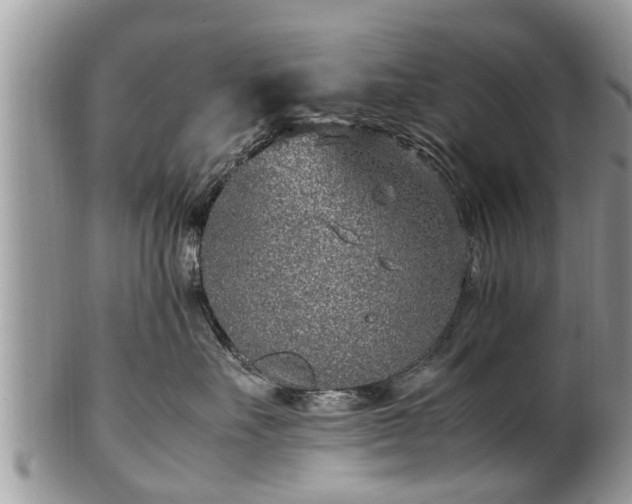X0000102270527200808011430