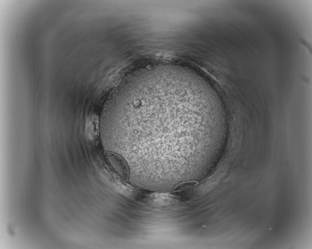X0000102270528200808011430