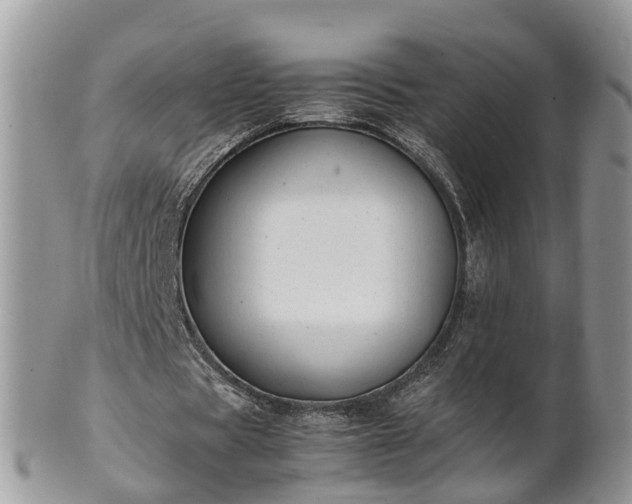 X0000102270529200808011429