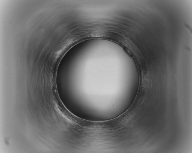 X0000102270530200808011429