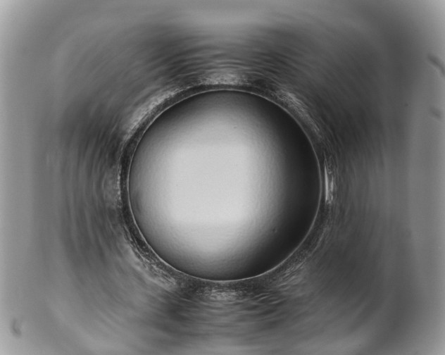 X0000102270531200808011429
