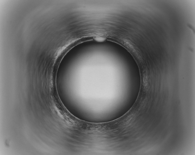 X0000102270532200808011429