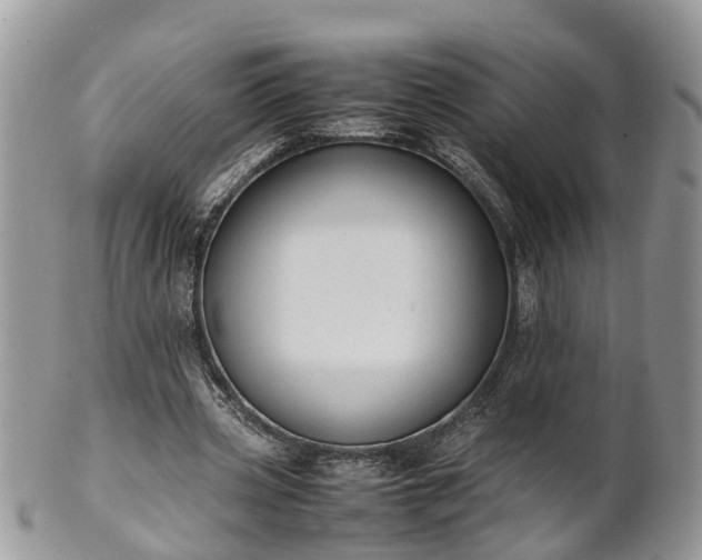 X0000102270533200808011429