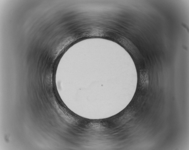 X0000102270534200808011429