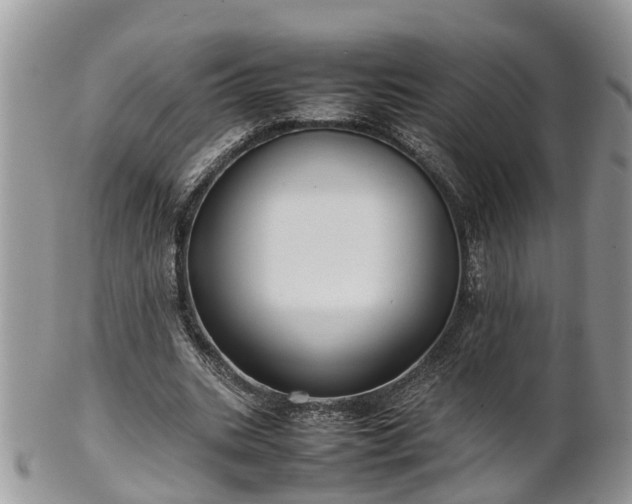 X0000102270535200808011429