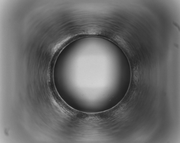 X0000102270536200808011429