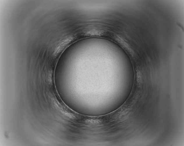 X0000102270537200808011429