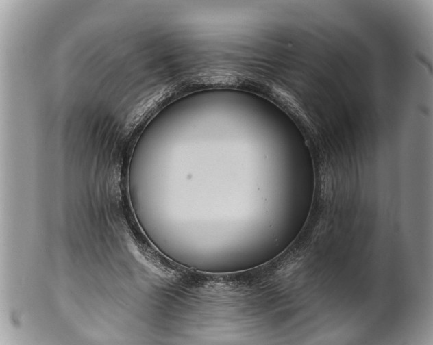 X0000102270538200808011429