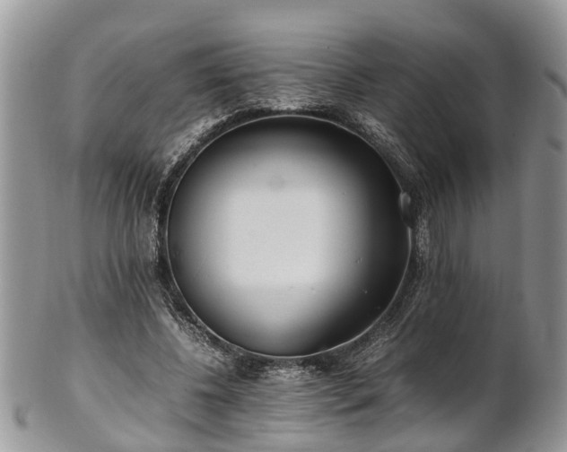 X0000102270540200808011429