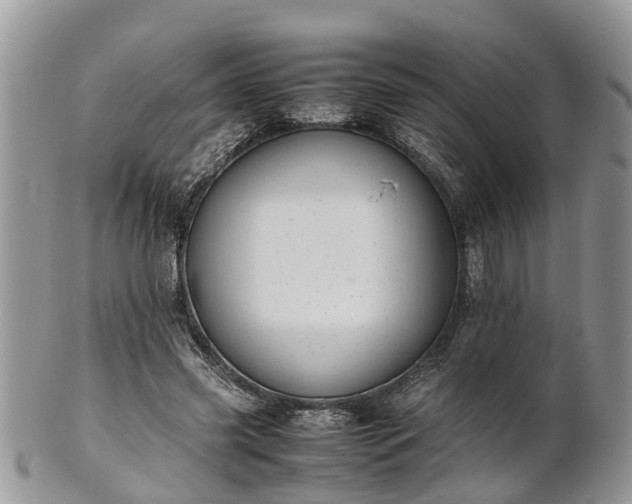X0000102270541200808011429