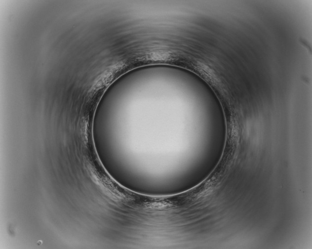 X0000102270542200808011429