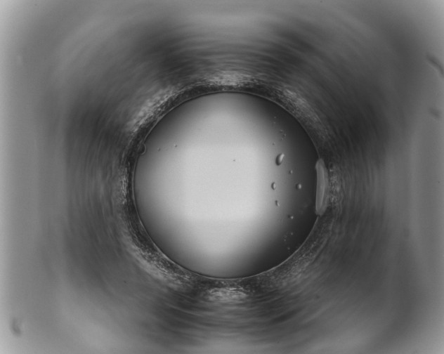 X0000102270544200808011429