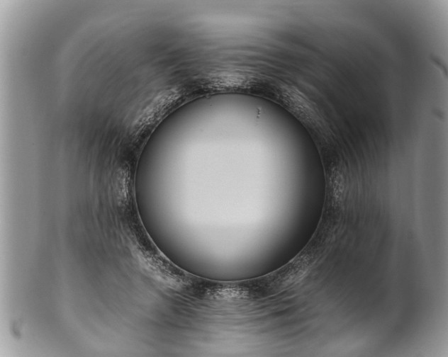 X0000102270546200808011429