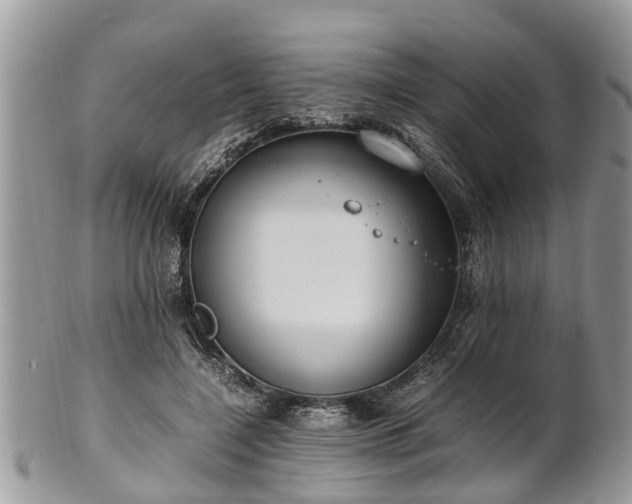X0000102270548200808011429