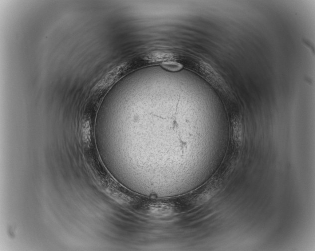 X0000102270549200808011430