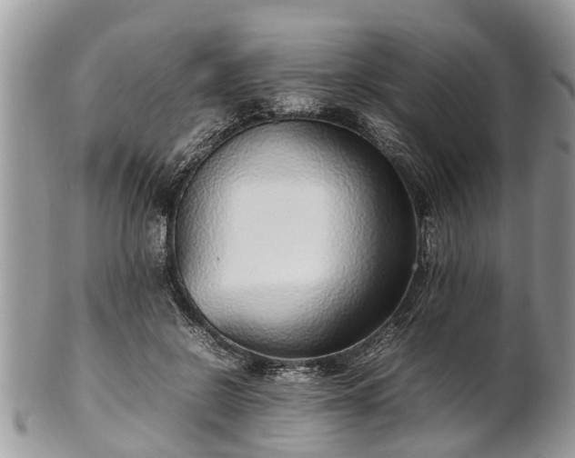 X0000102270550200808011430