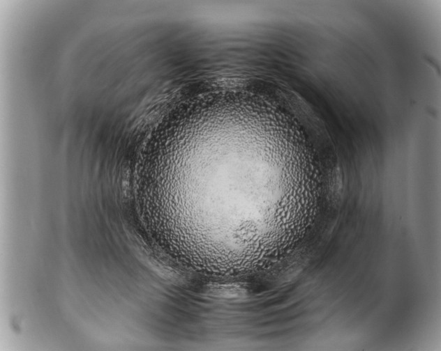 X0000102270553200808011430
