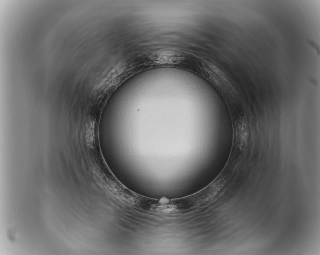 X0000102270554200808011430