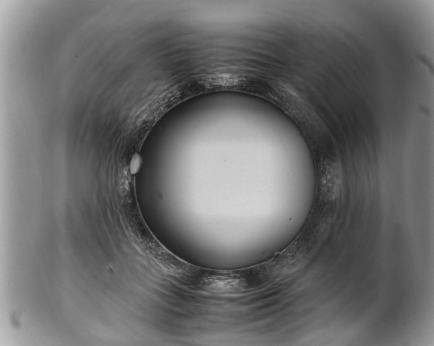 X0000102270555200808011430