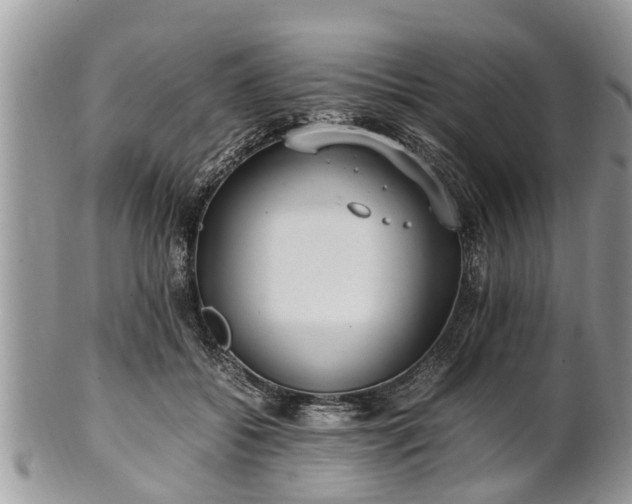X0000102270556200808011430