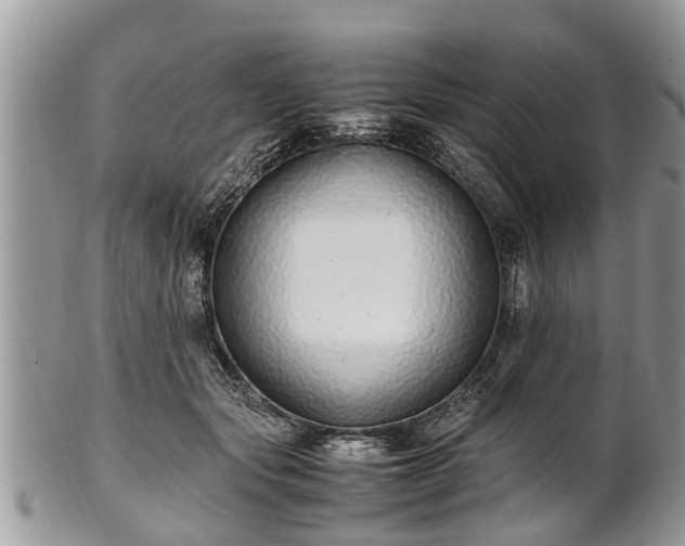X0000102270557200808011430