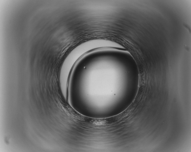 X0000102270560200808011430