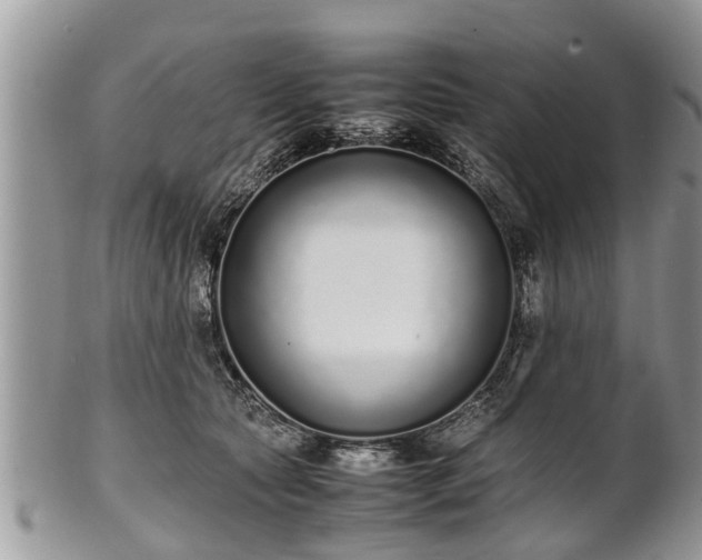 X0000102270561200808011430