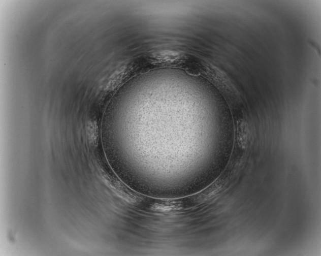 X0000102270563200808011430