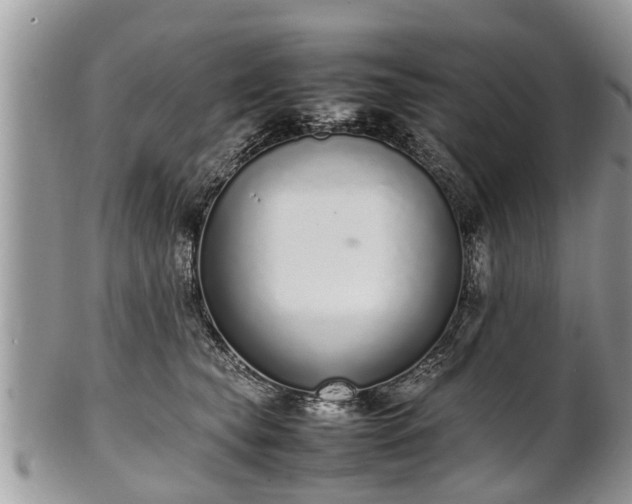X0000102270565200808011430