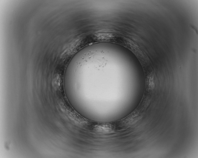 X0000102270567200808011430